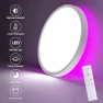 Превью RGB Smart Ceiling Light — Smart Light Bulb, HENTAG