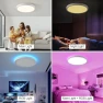 Превью RGB Smart Ceiling Light — Smart Light Bulb, HENTAG