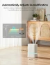 Превью Smart Cool Mist Air Humidifier, GoveeLife