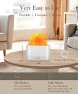 Превью Essential Oil Diffuser and Humidifier with Flame Light, Aegci