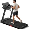 Превью Folding Treadmill with Heart Rate Sensor, LONTEK