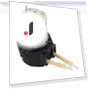 Peristaltic Liquid Dosing Pump — , JM- Carejoyao