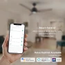 Превью Smart Ceiling Fan with Lights — Smart Fan, SMAFAN