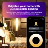 Превью Smart Light Bulb, Roku