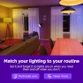 Превью Smart Light Bulb, Roku