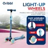 Превью 3-Wheel Kids Scooter, Dribbl