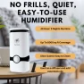 Превью Cool Mist Humidifier with Essential Oil Diffuser, Alydon