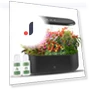 Plant Grow Light — Growing Lamps, TOMTOP JMS