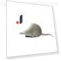 Electric Mouse Toy for Cats — Mice & Animals, Happy6