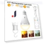 Rechargeable USB C Bulb with Remote Control — LED, Binchi Lighting Appliances