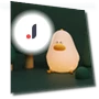 Silicone Duck Night Light — Night Lights, Binchi Lighting Appliances