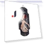 Halloween Doorbell — Spooky Sounds, Rainbow Rain
