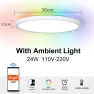 RGB Smart Ceiling Lamp — LED Strip Lights, Rainbow Rain