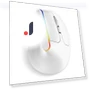 Wireless Silent Ergonomic Vertical Gaming Mouse — Mouse Pads, Delux