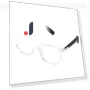 Smart Glasses — Smart Glasses, Honor Electronics