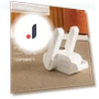 Smart Shoe Dryer — Shoe Dryers, Warm Land