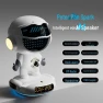 Smart Voice Robot with Artificial Intelligence — Smart Speaker, Doubao