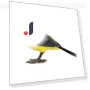 Voice and light controlled fun bird imitation toy — Interactive Learning Devices, Shredded cabbage