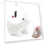 Smart Plush Bunny Toy — Interactive, Long nose