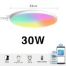 RGB LED Smart Ceiling Light — LED Strip Lights, Rainbow Rain