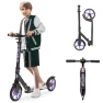Превью Foldable Kick Scooter with Adjustable Handlebar, WAYPLUS