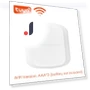 2 Gang Wireless Remote Control Switch — Smart Home Hubs & Controllers, HIMO Group