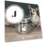 Smart Water Dispenser for Pets — Feeding Supplies, YC Direct