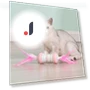 Electric Fun Toy for Cats — Cat Playthings, Smart Pet Supplies