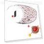 Interactive Smart Cat Toy — Cat Playthings, YJMP