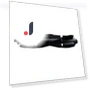 Roller Brush 6000 — Parts & Accessories, Home Tree