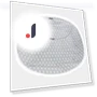 Special Pads for Cat Litter Box — Litter Boxes, Rainbow Rain