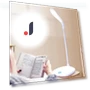 Touch LED Desk Lamp — Study & Desk Lighting, Good Household Items
