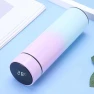 Gradient Water Bottle with Temperature Display — Travel Drinkware, Happy Home Mall