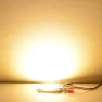 LED COB Spotlight — Garden Illumination, Rainbow Rain