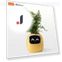 Smart Seedling Pot — Nursery Pots, Build My Home