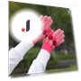 Wool Thermal Gloves — Gloves, Female s