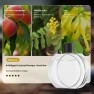 Smart Air Freshener Diffuser — Diffusers, 888 Auto Parts Town