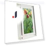 7-inch Digital Photo Frame with Speaker — Digital Frames, Zeblaze