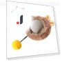 Automatic Smart Cat Toys Rechargeable Dog Cat Training Ball Electric Cat Ball Toy — Interactive Animal Companions, engdch