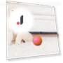 Automatic Moving Smart Ball Dog Toy — Automatic Launchers, SunshineTek