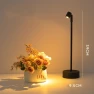 Retro Decorative LED Touch Desk Lamp — Study & Desk Lighting, tijnwny