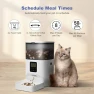Превью Automatic Pet Feeder with Voice Recorder — Automatic Pet Feeder, ANDOLL HOME