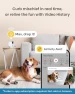 Превью Mini 360° Pet Camera — Smart Bird Feeder, Furbo