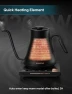 Превью Electric Kettle with Precise Temperature Control — Electric Kettle, INTASTING