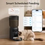 Превью Automatic Cat Feeder with Dual HD Camera and Interactive Toy — Automatic Pet Feeder, Centvicam