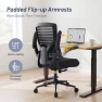 Превью Office Desk Chair for Long Hours & Lower Back Pain Relief — Smart Chairs, QLTPLUS
