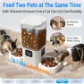 Превью Automatic Pet Feeder with Two HD Cameras — Automatic Pet Feeder, Frienhund