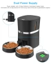 Превью Automatic Pet Feeder with WiFi, App Control, Two-Way Splitter, Two Bowls, Voice Recorder, and Portion Control — Automatic Feeders, WellToBe