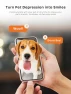 Превью Pet Camera with Treat Dispenser — Automatic Pet Feeder, Dokoo