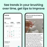 Превью Smart Sonic Toothbrush for Adults — Electric Toothbrush, Quip